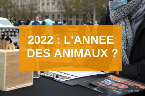 2022 sera-t-elle l'année du changement pour le milliard d'animaux abattu chaque année en France ?